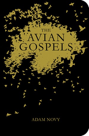 avian-gospels