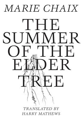 chaix-elder-tree