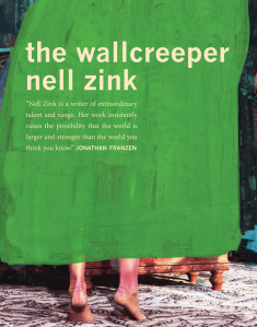 zink-wallcreeper