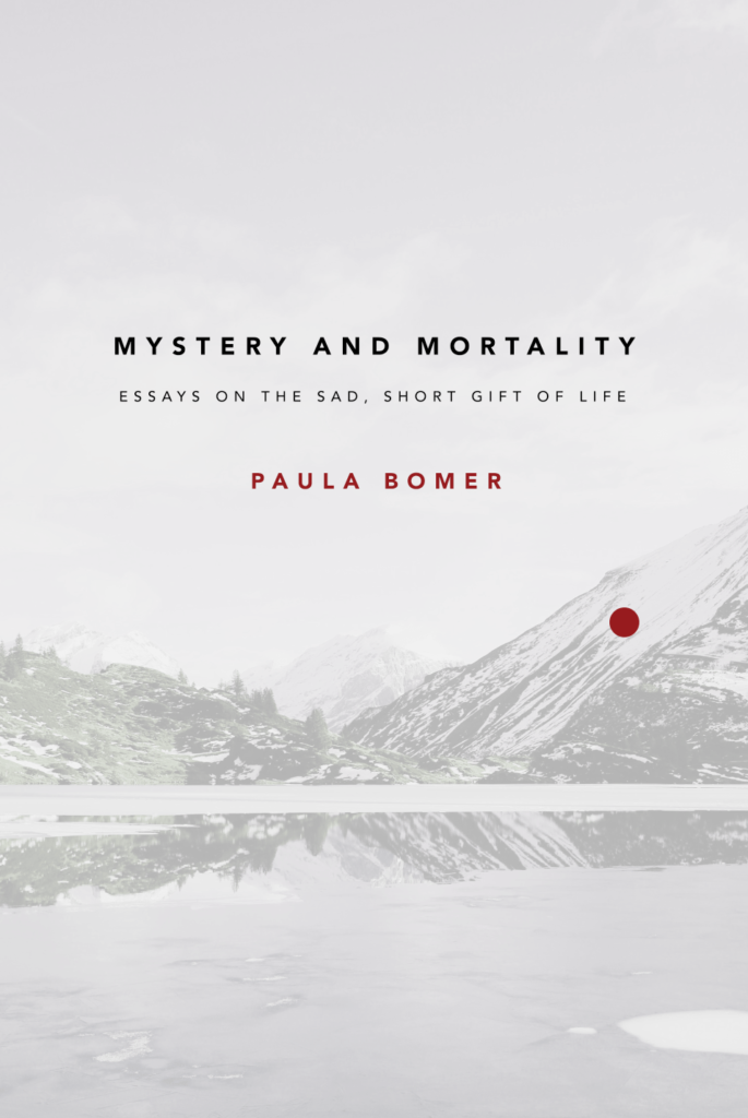Paula Bomer book cover