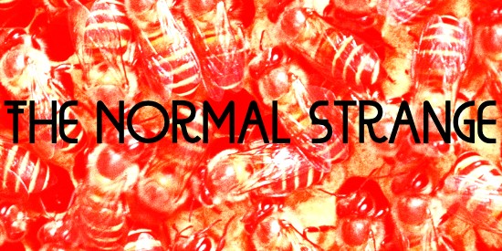 The Normal Strange
