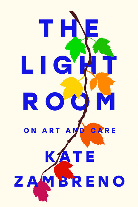 "The Light Room" cover