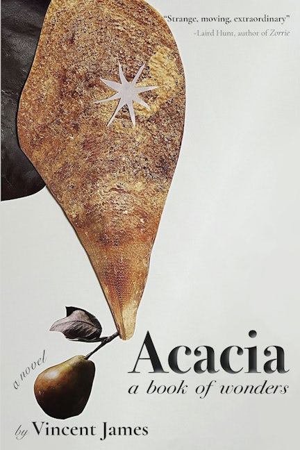 "Acacia" cover