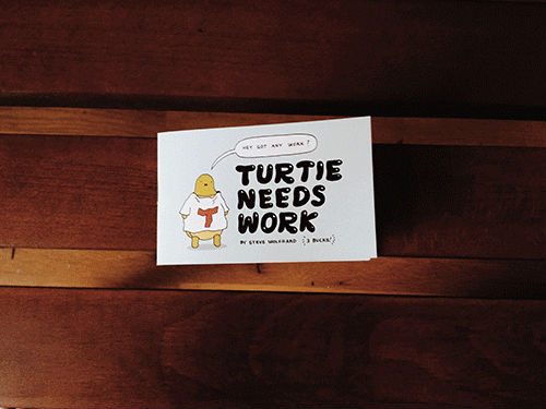turtie_needs_work