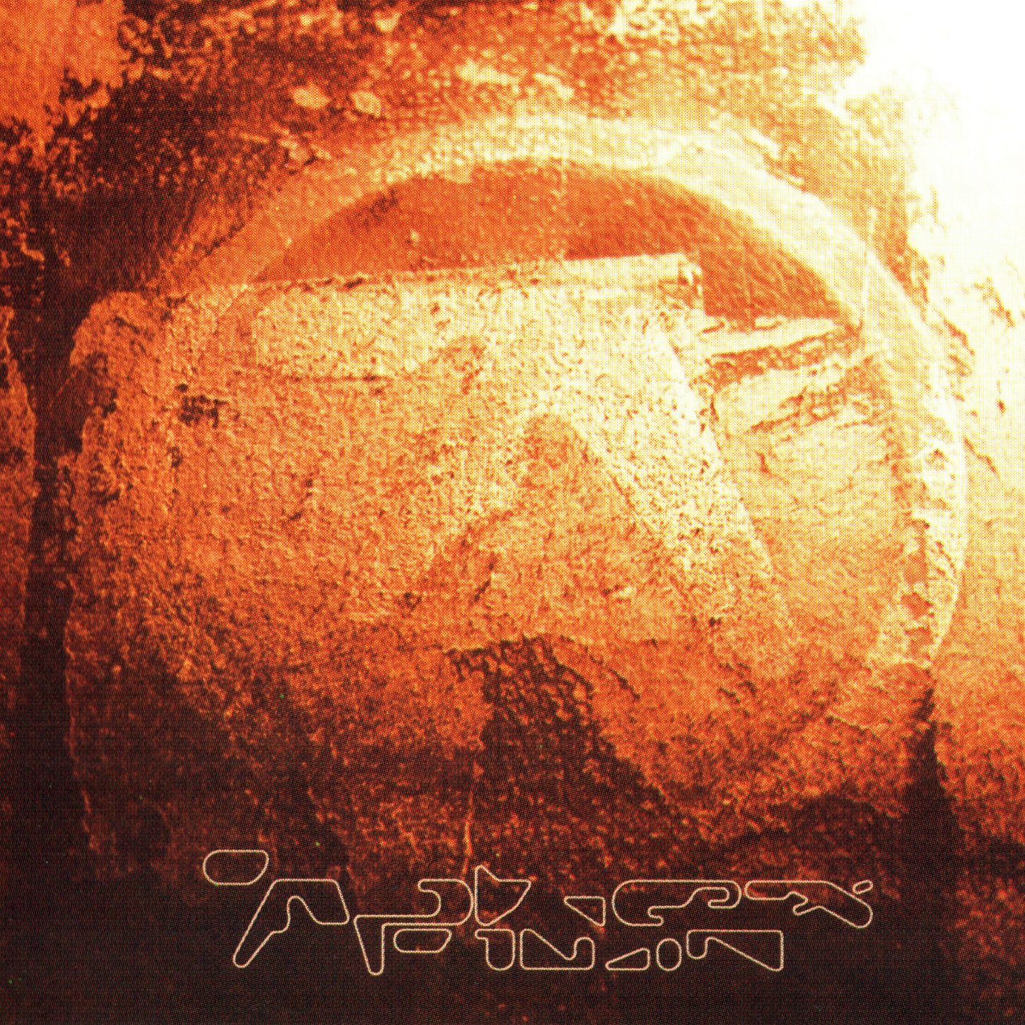 Aphex-Twin-Selected-Ambient-Works-Volume-II
