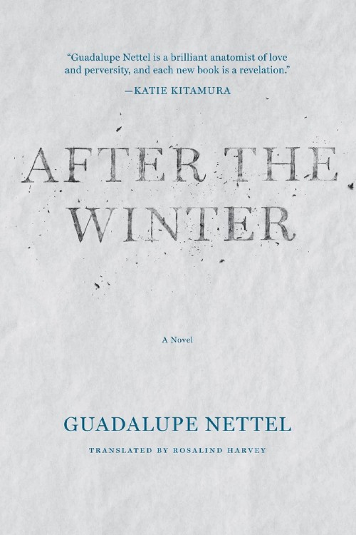 "After the Winter" cover