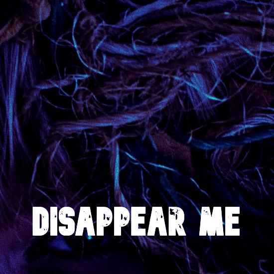 Disappear Me image