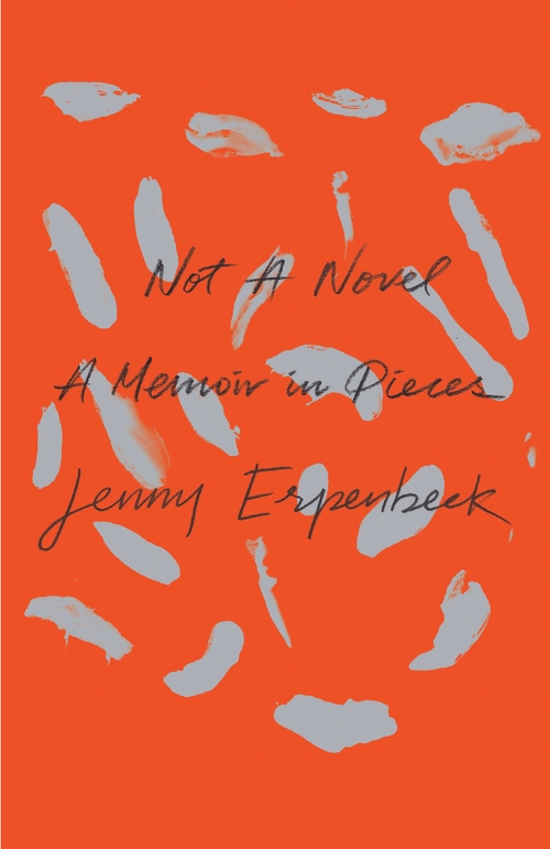 "Not a Novel" cover