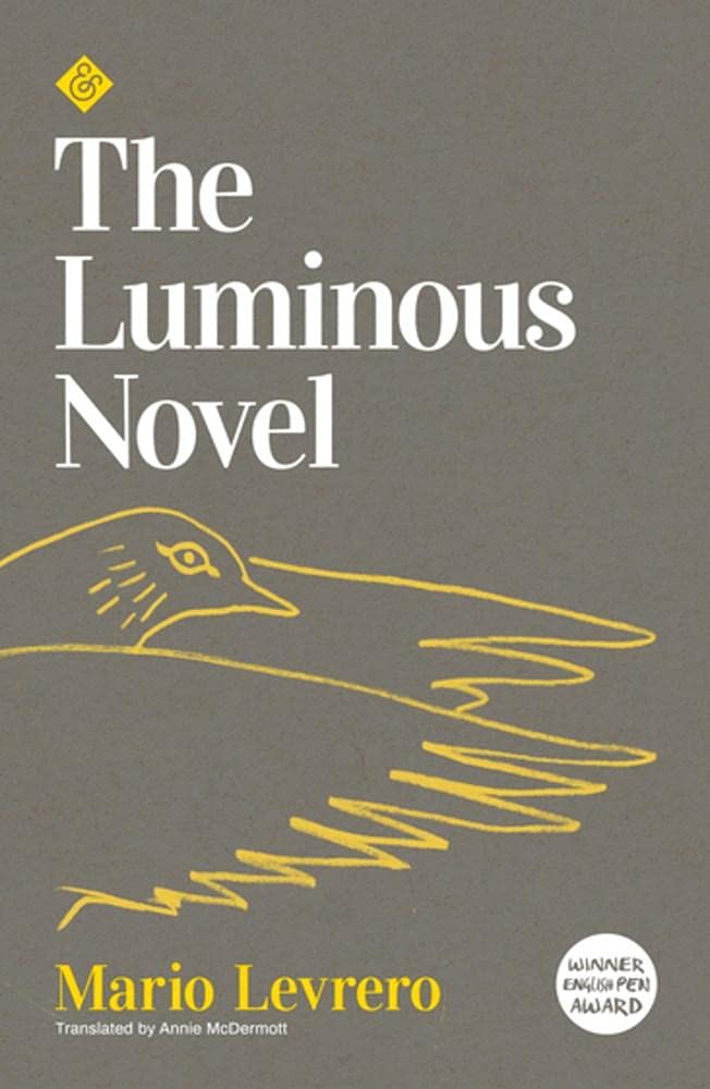 "The Luminous Novel"